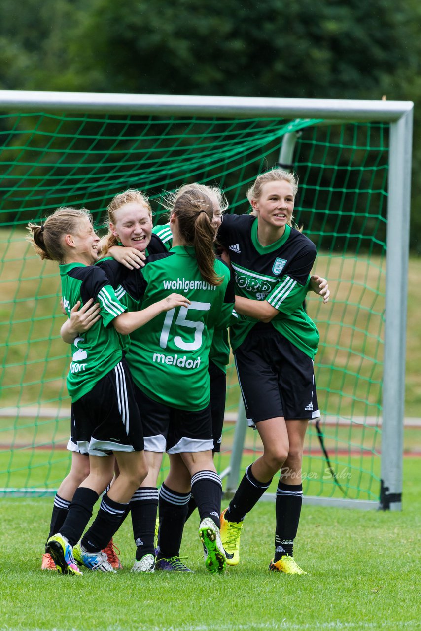 Bild 151 - C-Juniorinnen Landesmeister Finale SV Wahlstedt - TuRa Meldorf : Ergebnis: 1:4